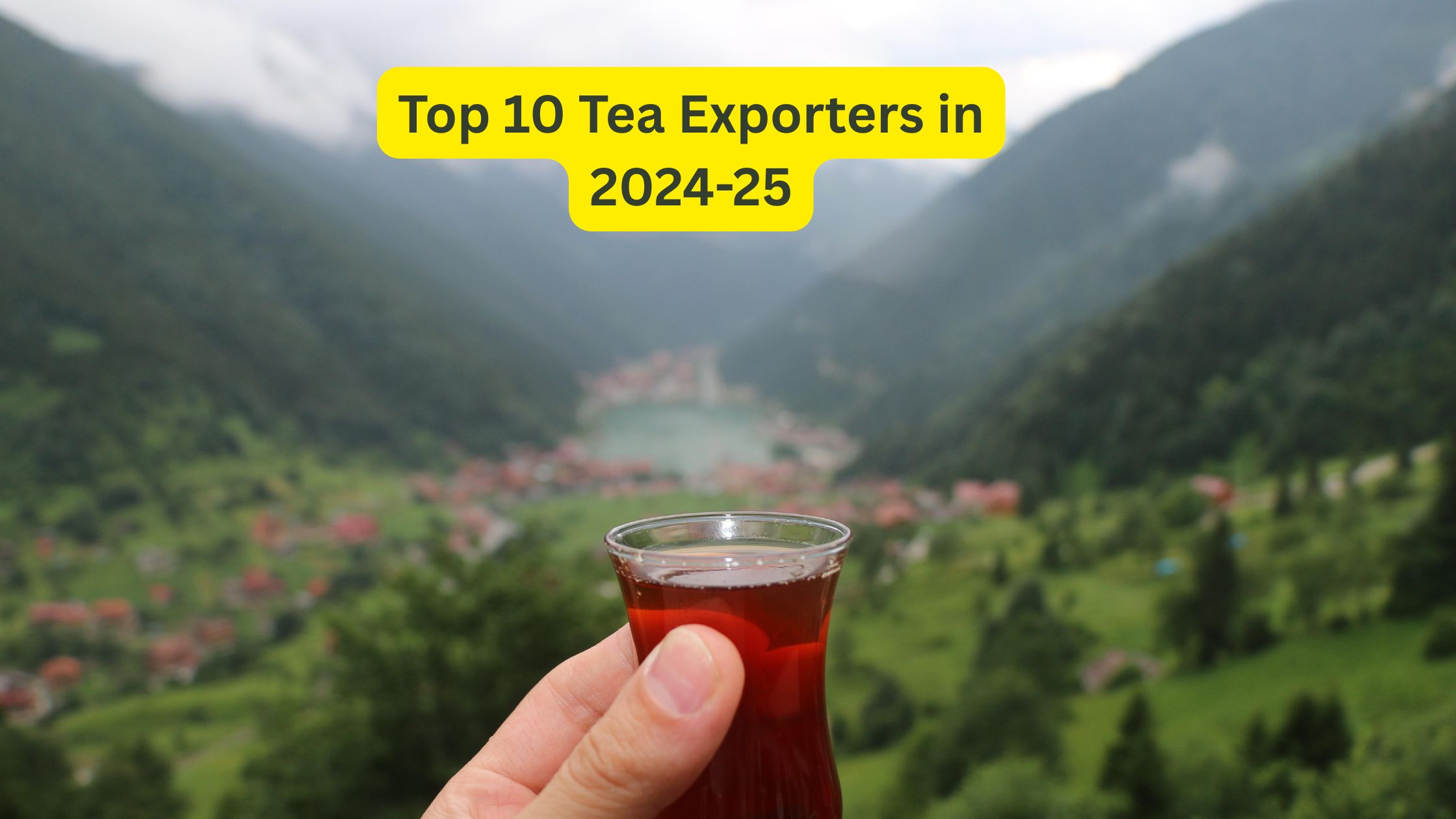 Top 10 Tea Exporters in 2024-25