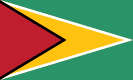 Guyana Flag
